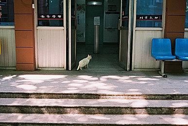 E3：手游《杀手狙击：阴影》宣传片发布 2021年内推出